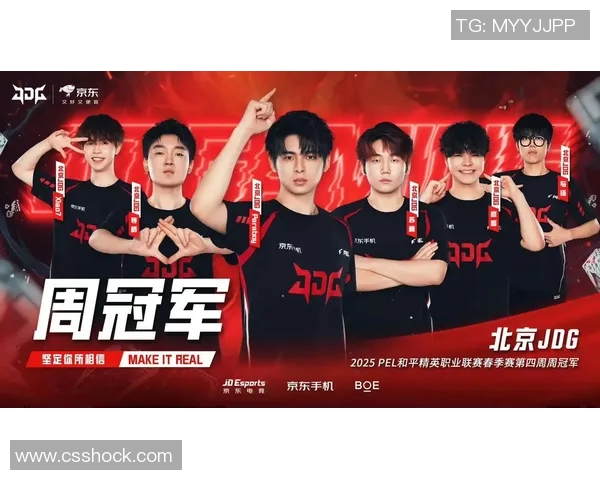 和平精英赛事分析：深入探讨JDG战队的盯防战术与策略