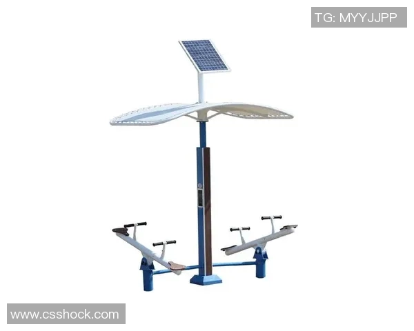 最新智能健身器材功能解析及未来技术趋势