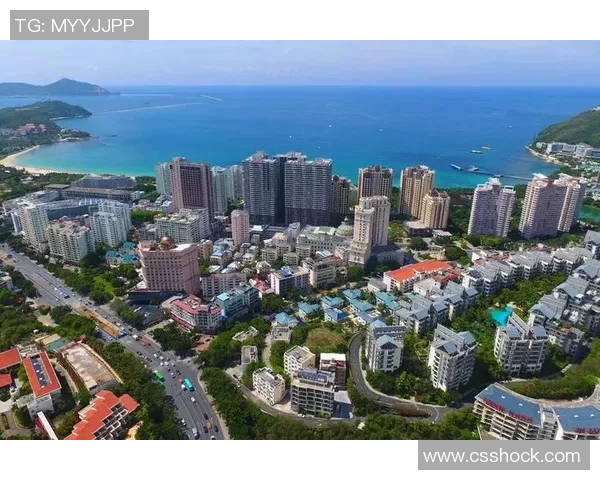 深入探讨上海羽毛球队实力对比与未来发展潜力分析