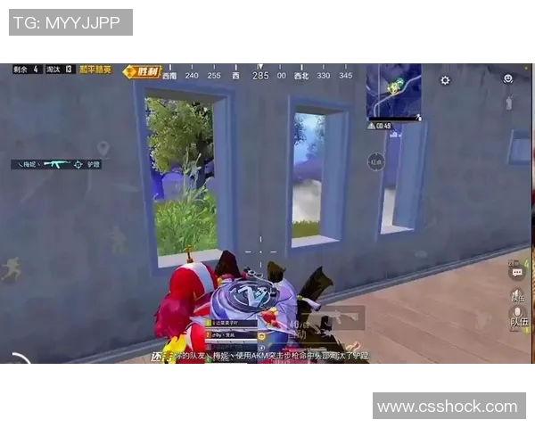 从零起步：全面解析和平精英耐力提升技巧与实战策略