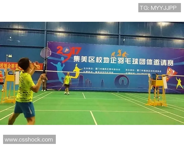 南京羽毛球队心理素质探讨：提升竞技表现的关键因素分析