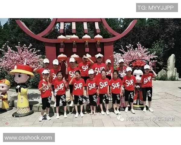 成都乒乓球队在世界锦标赛中的蜕变与新篇章探索之旅