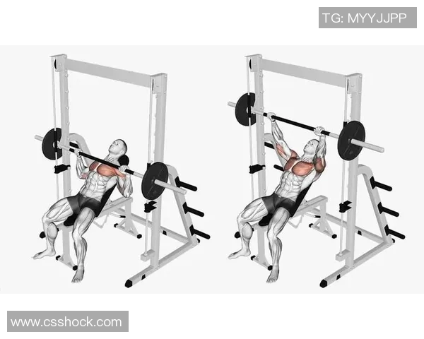 用什么健身器材练胸肌最有效方法全揭秘