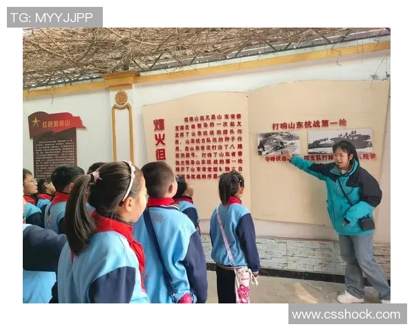 科学飞盘与意识训练的完美结合探索全新思维与专注力提升之路