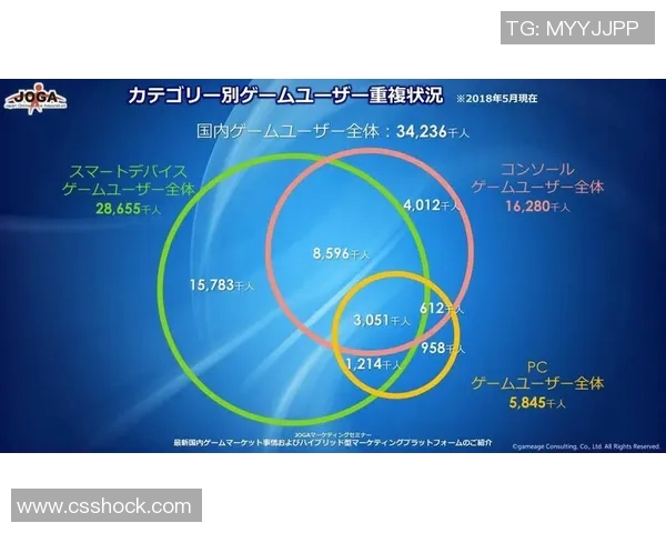 竞技体育英文表达与全球化发展的关系探讨