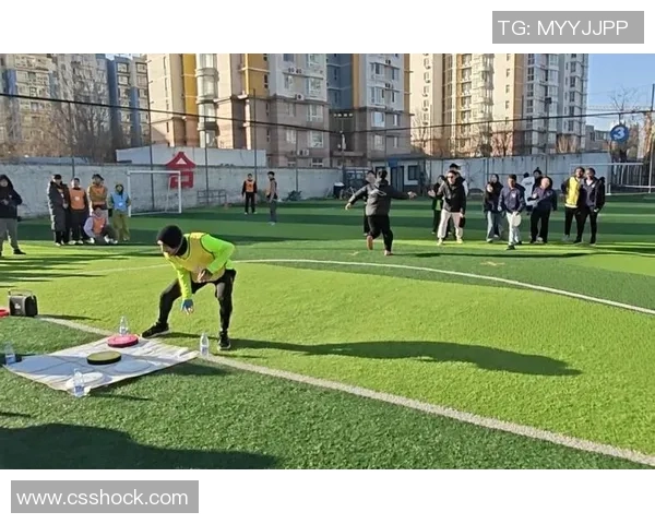 飞盘盛宴：探索北京飞盘队的训练与比赛节奏之旅
