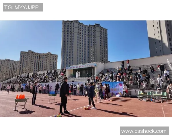 青少年体育发展现状与未来趋势：提升体能素质与培养运动精神的双重路径