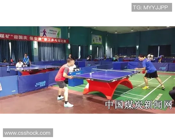 乒乓球团队协作实力榜单揭晓上海乒乓球队荣获第七名佳绩